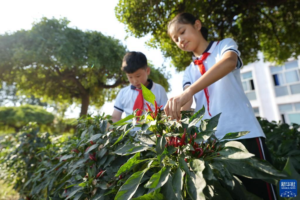 广东麻将推倒胡下载免费